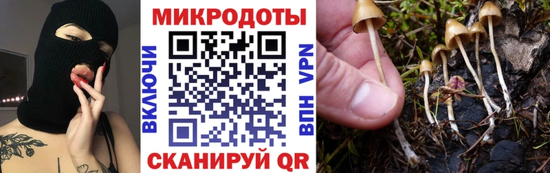 МЕГА онион  Боготол  Галлюциногенные грибы мухоморы 